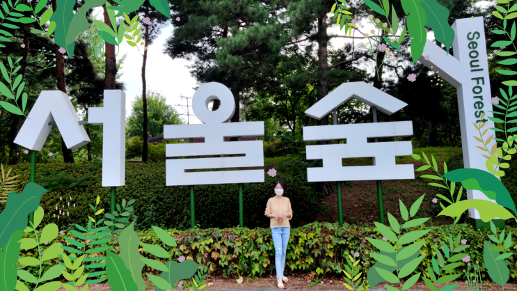 서울숲 공원 가을 산책로 포토존 주차장 운영시간 서울숲 공원 가을 산책로 포토존 주차장 운영시간
