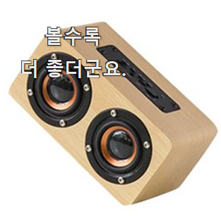  신뢰가는 스피커 꿀템 모음 굿초이스 맞네요.