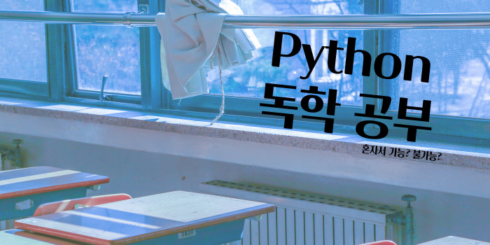  기초 중에 기초! Python 공부 혼자서 가능? 불가능?