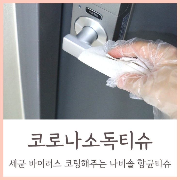  코로나소독티슈 세균 바이러스로부터 코팅해주는 나비솔 항균티슈