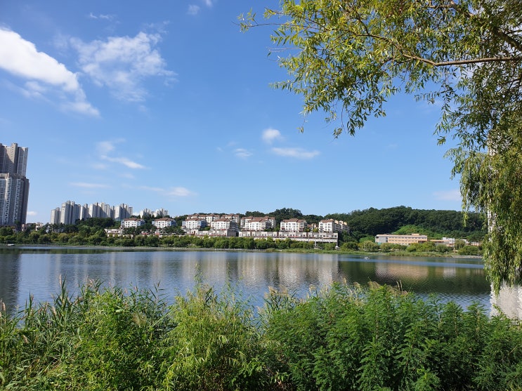  광교 호수공원 산책... 광교 교보문고....