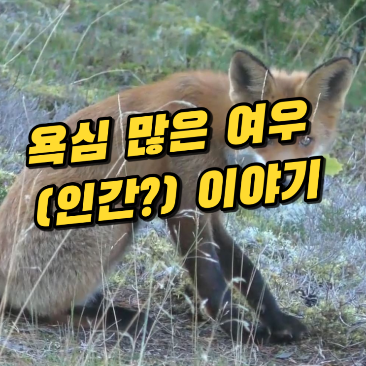 욕심 많은 여우(인간?) 이야기 욕심 많은 여우(인간?) 이야기