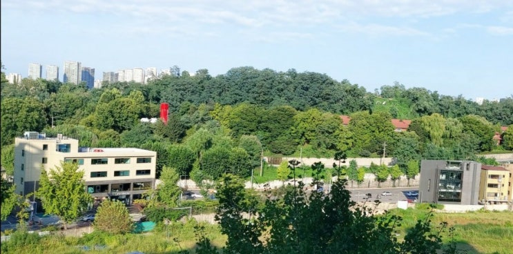 하루를 온전히 느끼며 산다는 것 어느날 가을 의 하루 하루를 온전히 느끼며 산다는 것 어느날 가을 의 하루