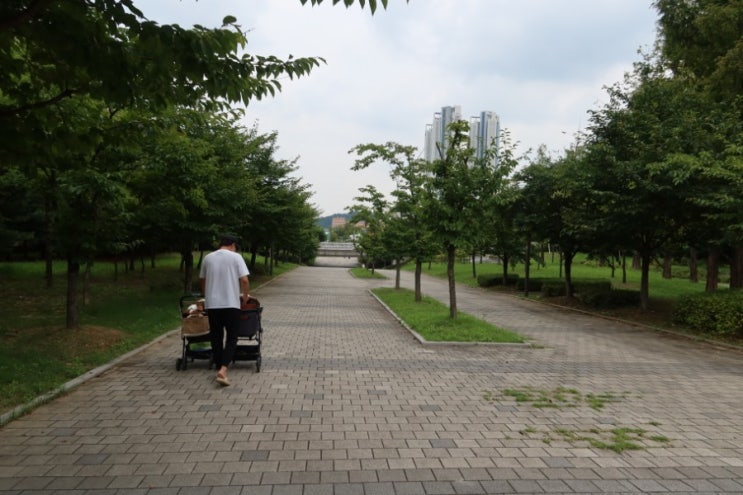  일요일은 아쉬워 별내 새로운 산책길