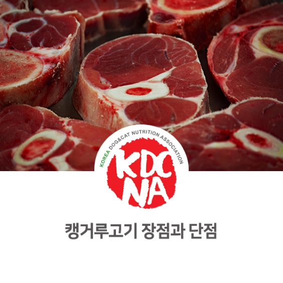  반려동물 캥거루고기 장단점 알아보자 [펫푸드자격증/한국반려동물영양협회/익산/춘천/부산/시흥/정안]_873