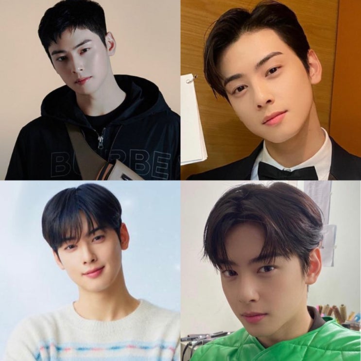  차은우머리 스타일모음 (남자크롭컷,가일컷,댄디컷,애즈펌)