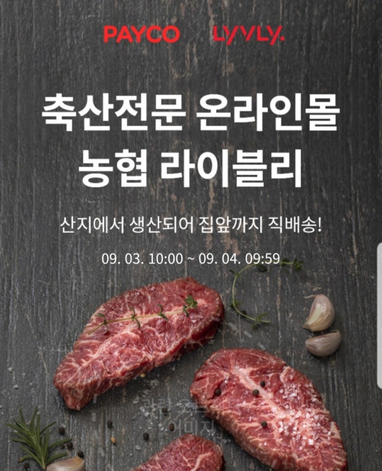  농협 온라인몰 라이블리 한우 50% 2일동안만!
