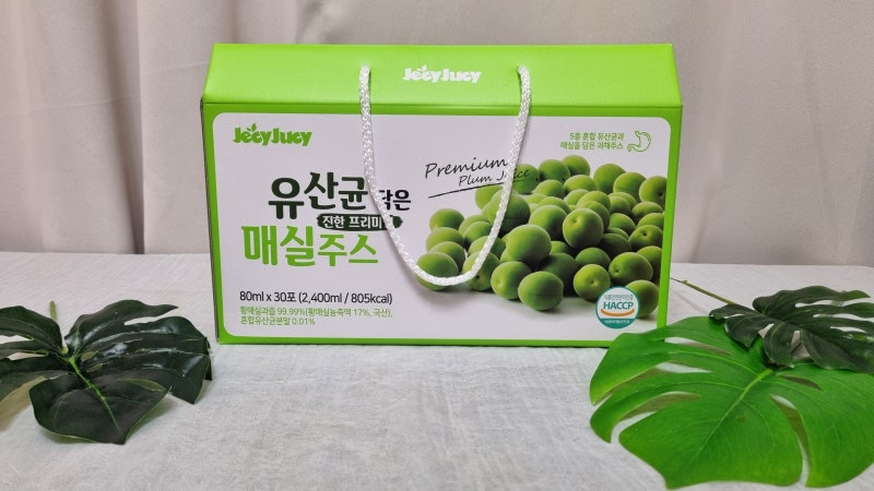 이미지 8014845
