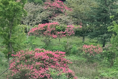 88쉼터 이미지