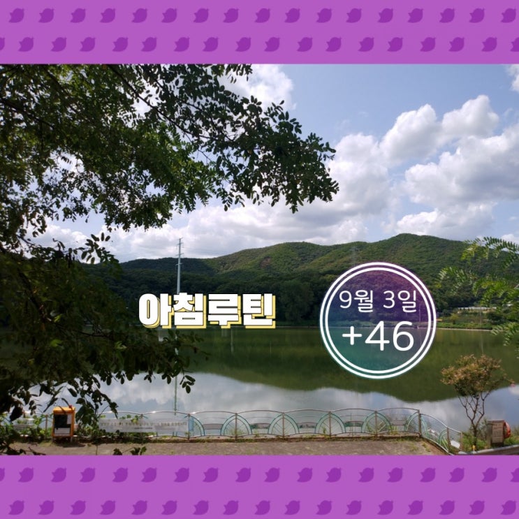  9월 3일 아침루틴 (좋은습관만들기)