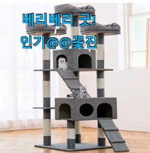 너무착한 윈도우캣타워 가성비 꿀템 칭찬을 많이 받았어요. 너무착한 윈도우캣타워 가성비 꿀템 칭찬을 많이 받았어요.