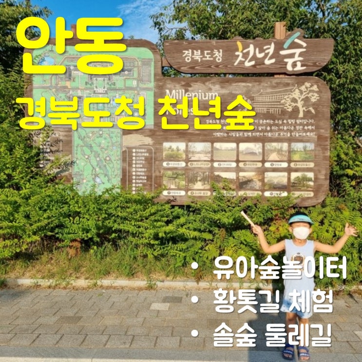  안동 경북도청 천년숲/유아숲체험원/황톳길-아이와 가볼만한 곳
