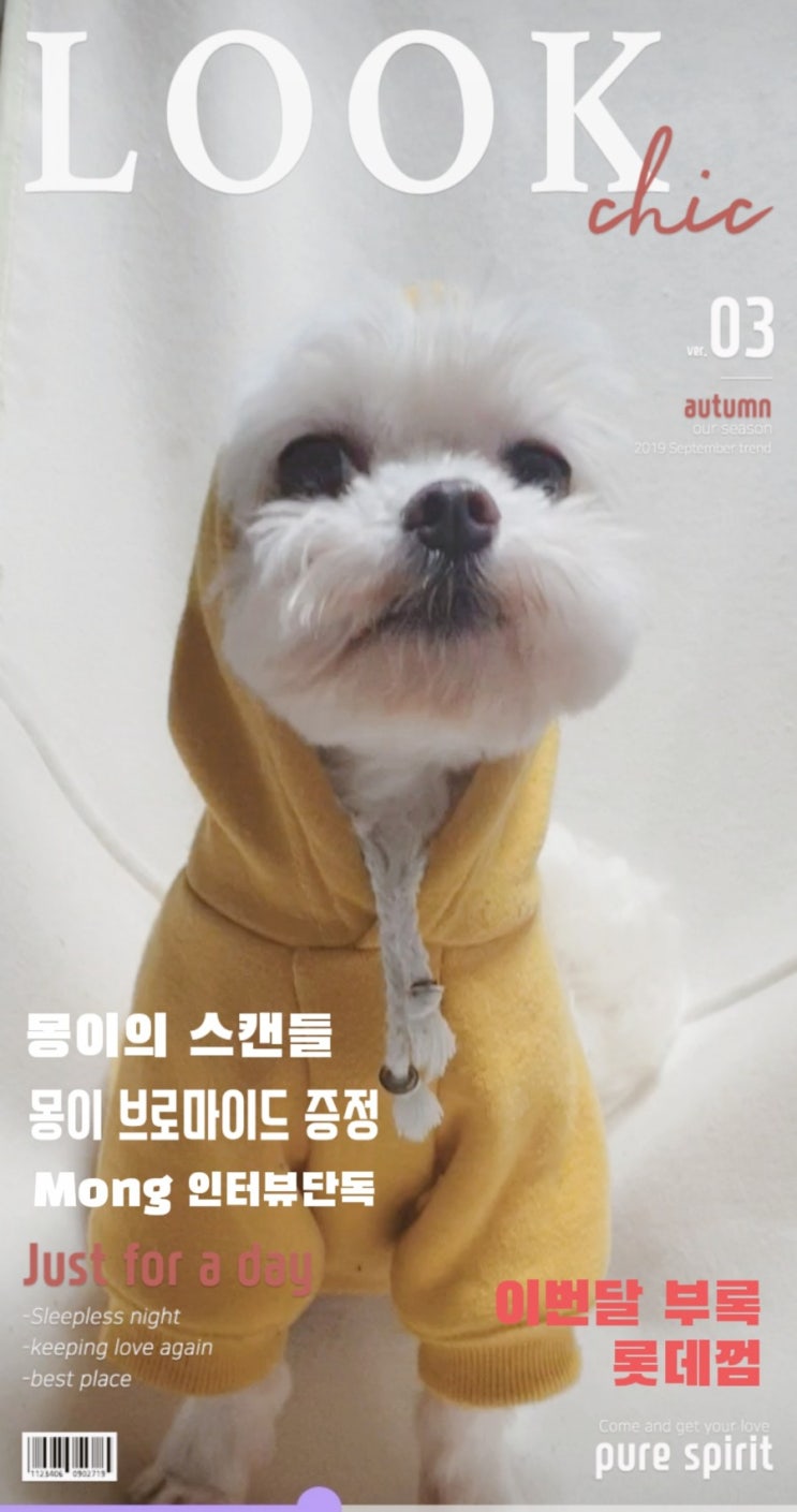  갖고 싶은남좌 몽