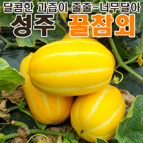 잘팔리는 달콤한 성주 꿀참외 3kg 5kg 10kg 가정용 하우스 원예농협 1등농장 한입 꼬마참외 소과 중과 대과 못난이참외 산지직송, 성주참외 (꼬마참외) 5kg 28~36과 추