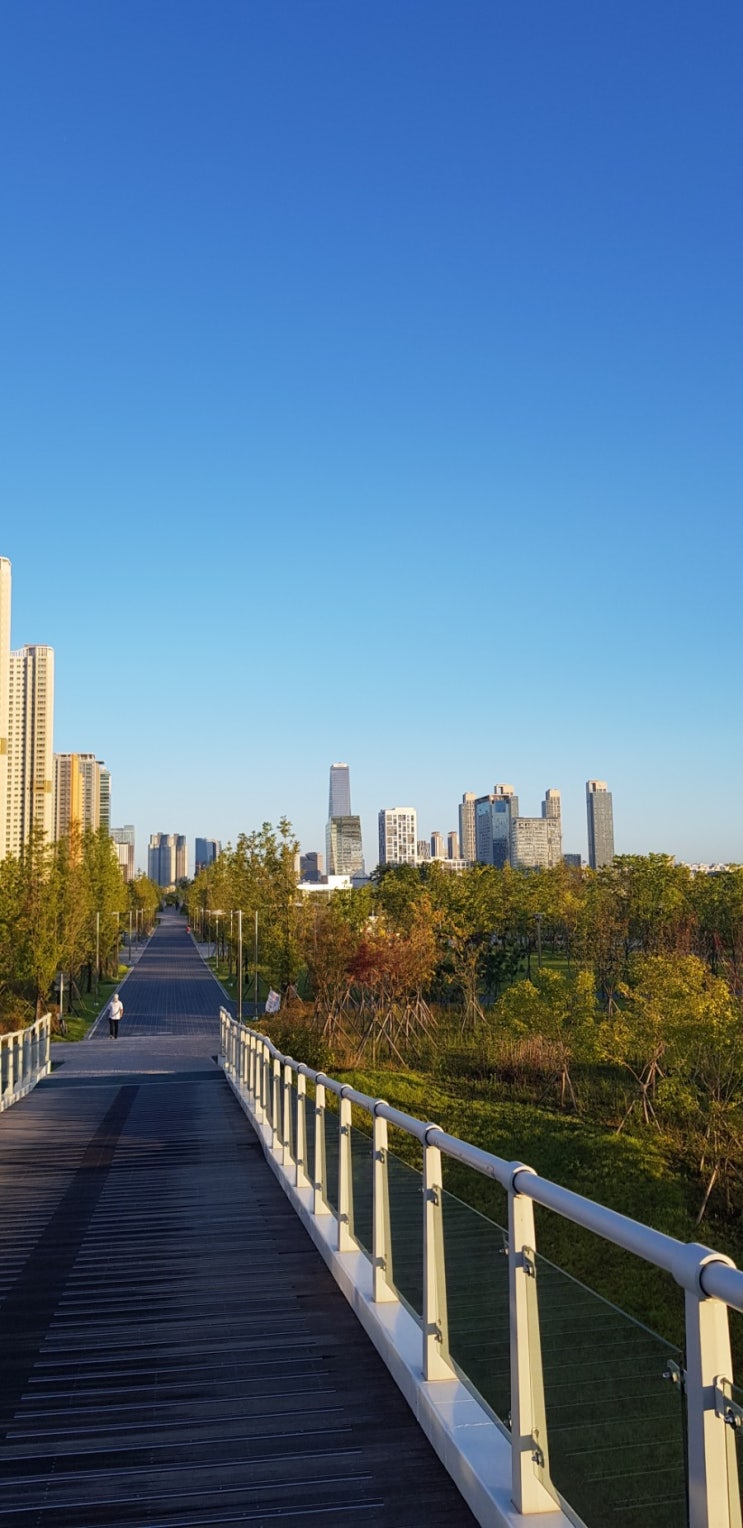  부동산 투자와 선한 영향력(루틴유지, 실행력과 꾸준함, 송도 글로벌캠퍼스푸르지오 시세)