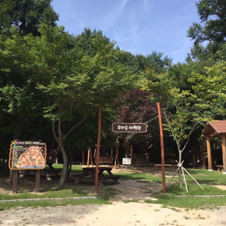  [아이와 대전 여행] 산모기만 좀 없으면 좋을텐데...용산동 청벽산 유아숲체험원