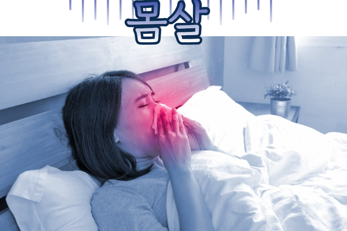  비염환자 화이자백신 접종10일째  몸살 나다