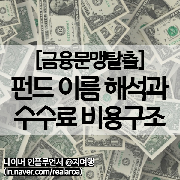  펀드 이름 해석과 수수료 비용구조 그리고 펀드투자에 대한 생각