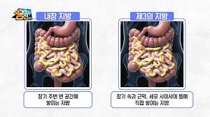 지방종류 기능역할 콜레스테롤 HDLLDL차이점 포화불포화비교 트랜스지방음식종류 필수지방산 비만고혈압당뇨유발