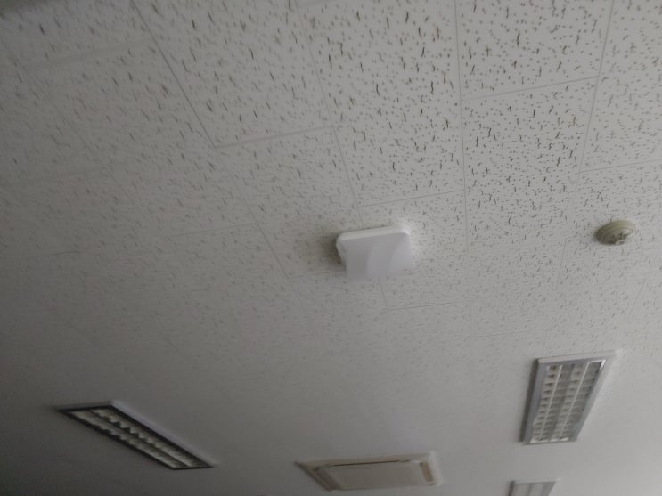  군산 오식도동 공장 네트워크작업 무선 ap 와이파이 장비 설치 무선랜 작업 익산 sh정보