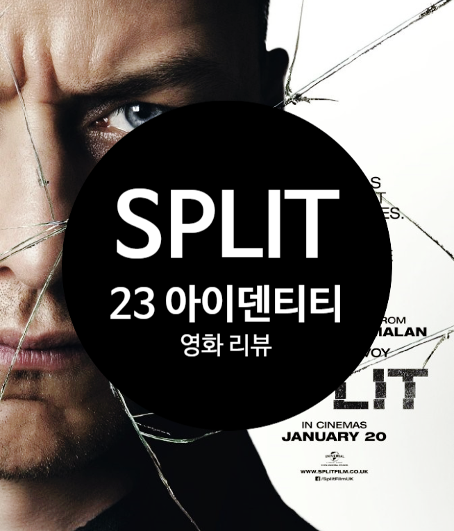  23 아이덴티티 정보 결말 해석 출연진 평점 시리즈 순서