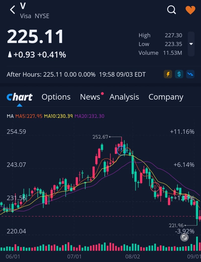 비자 주가 줍줍 기간?! feat. Visa 주식 배당금 입금 : 네이버 블로그