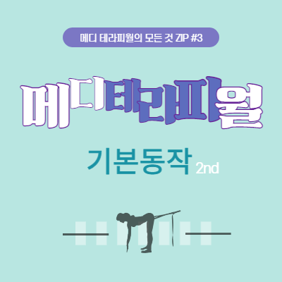  메디월(테라피월)의 모든 것. ZIP 메디월 동작 (feat 효과)