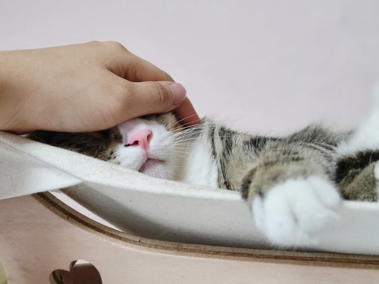 21년 9월 둘째주 마리끌레르 별자리 운세 21년 9월 둘째주 마리끌레르 별자리 운세