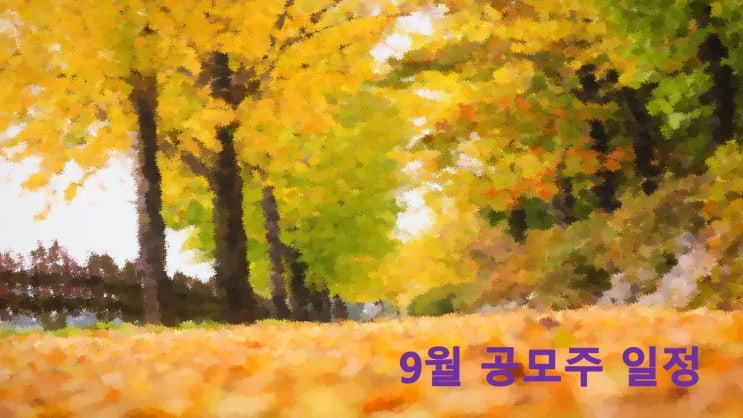  9월 공모주 일정