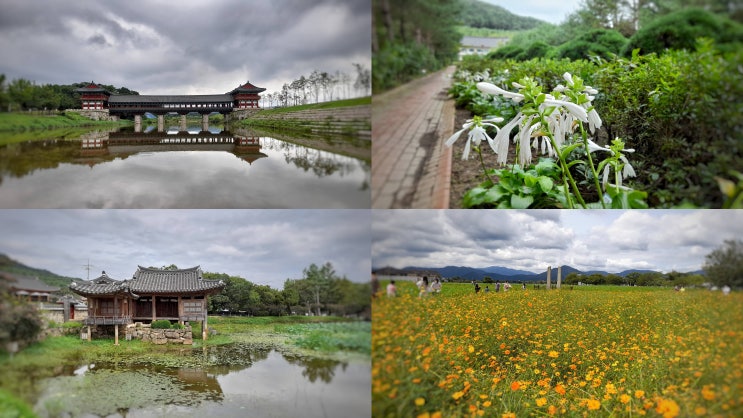 경주 반나절 여행 코스 추천, 월정교에서 분황사 코스모스까지