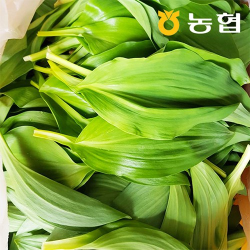 선택고민 해결 강원도 인제 기린농협 믿음 명이나물 산마늘 1kg 절임소스 증정, 1kg 1박스 추천합니다 선택고민 해결 강원도 인제 기린농협 믿음 명이나물 산마늘 1kg 절임소스 증정, 1kg 1박스 추천합니다