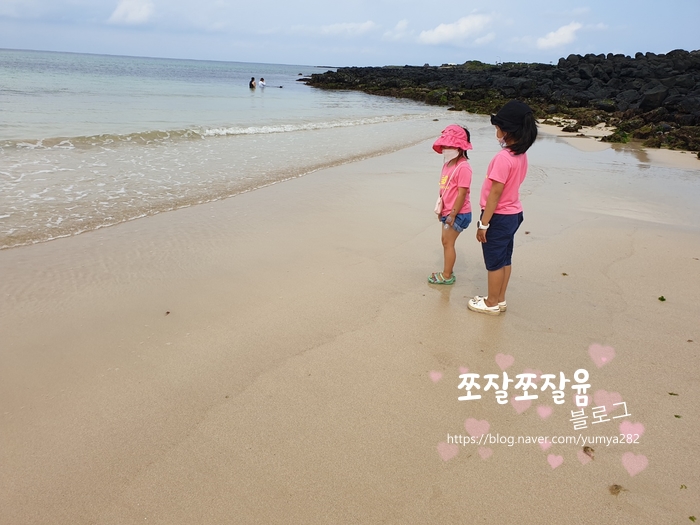  아이와 함께 제주한달 10일차-우도에 갔어요(우도 선착장 정보)