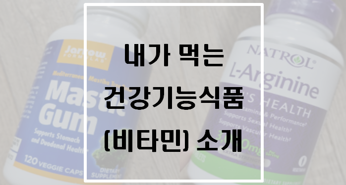  내가 먹는 건강기능식품(비타민) 소개