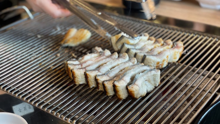  화순 장어 화순읍 맛집 '민물장어명가 풍천'
