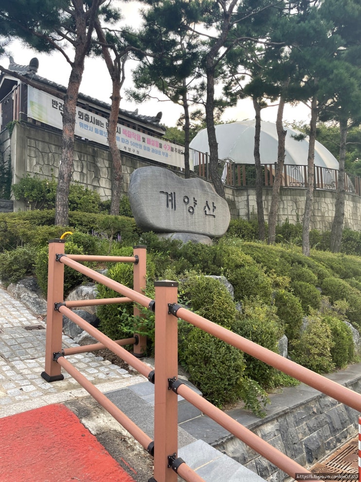  210904_끄적 / 계양산 등산, 셀프세차, 아트박스, 빅토리아 탄산수, 아몬드브리즈초코, 투명 케이스 세척