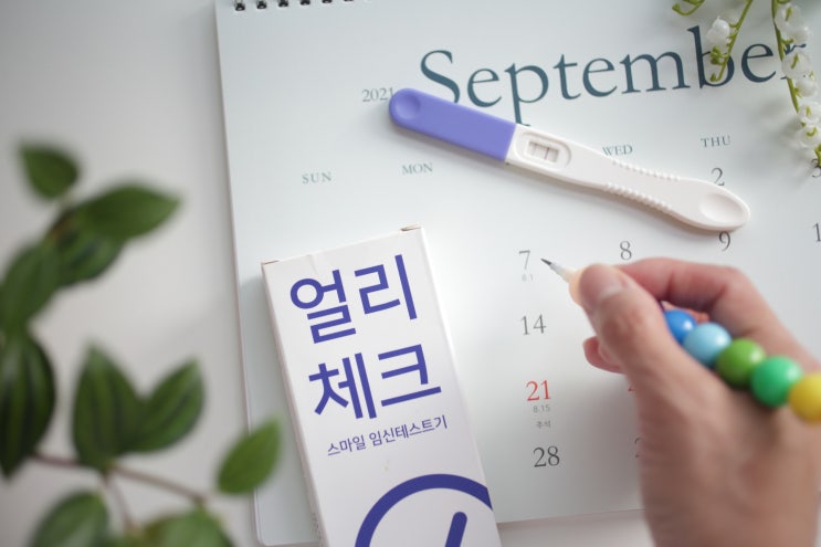  임신극초기증상이 나타나는시기 바로 임신테스트기로 확인