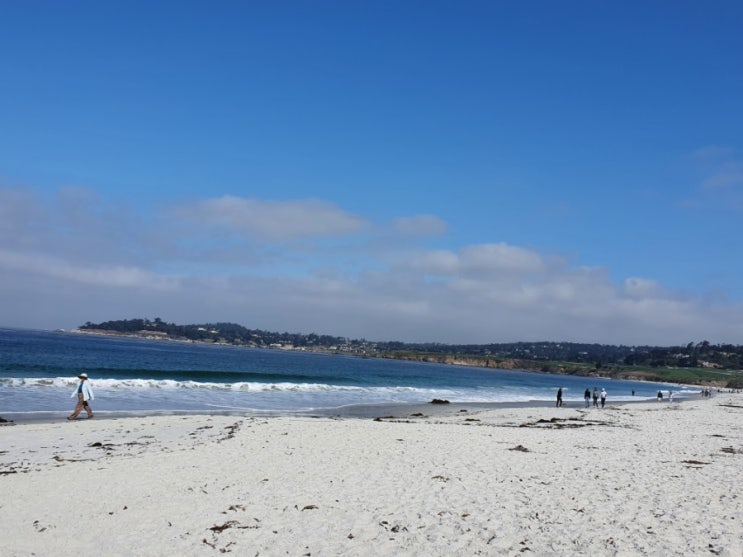  카멜비치 Camel Beach 2021. 9. 3. 금.