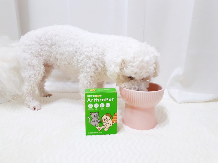 강아지 관절영양제 초록입홍합으로 pick!