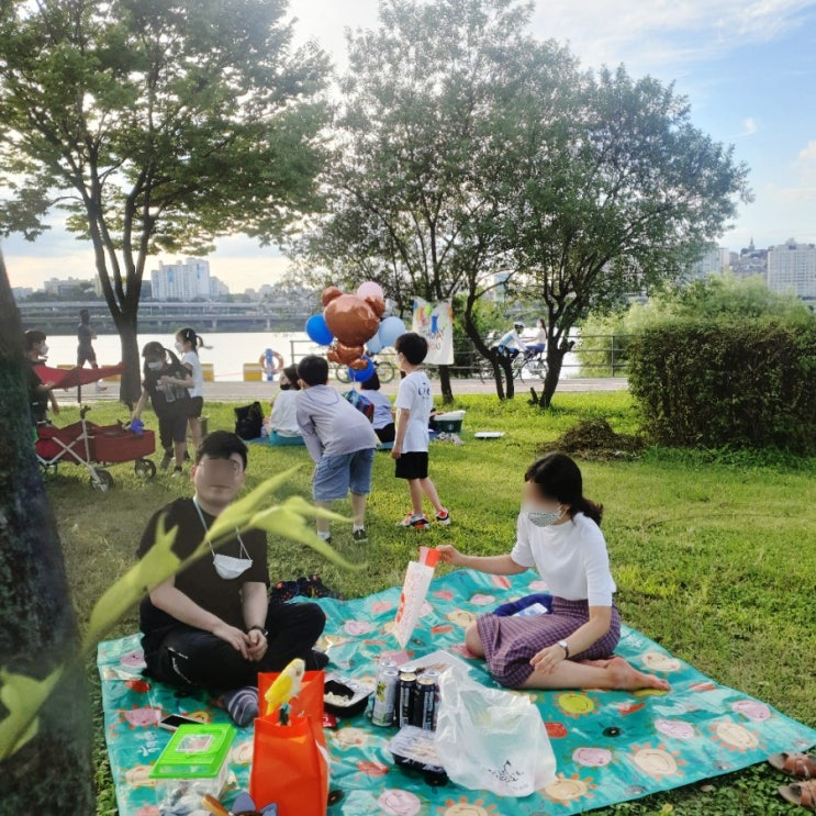  신논현역 술집 거리에서 포장음식으로 즐기는 잠원한강공원 치맥 피크닉