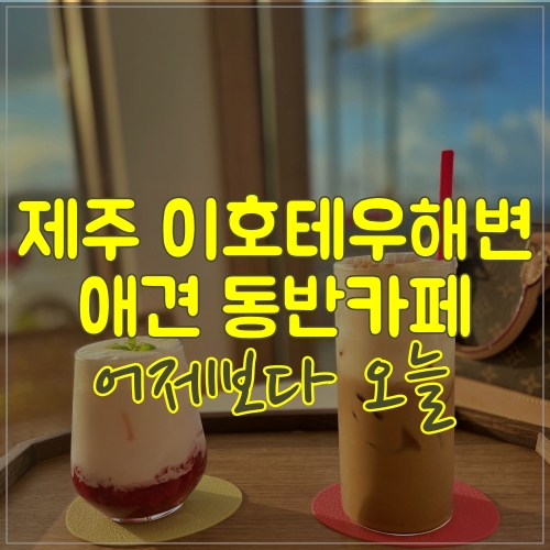  이호테우 애견동반 카페  어제보다 오늘