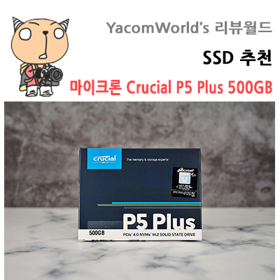 SSD 추천 마이크론 Crucial P5 Plus M.2 NVMe 대원씨티에스 PCIe4.0 500GB 리뷰