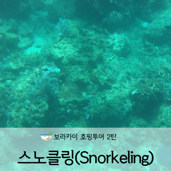  [보라카이] 보라카이 호핑투어 스노클링, 필리핀 낚시