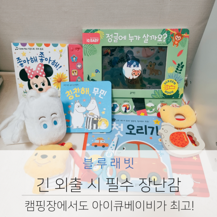  긴 시간 외출 캠핑장에서도 함께하는 아이 교육용 장난감 블루래빗 아이큐베이비