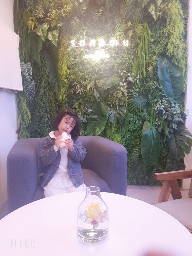  전주예쁜카페- 마당에서 차마시는 가을감성 삼청동 소나무카페