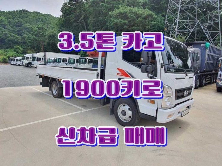  3.5톤카고트럭 신차급 올뉴마이티 중고화물차매매