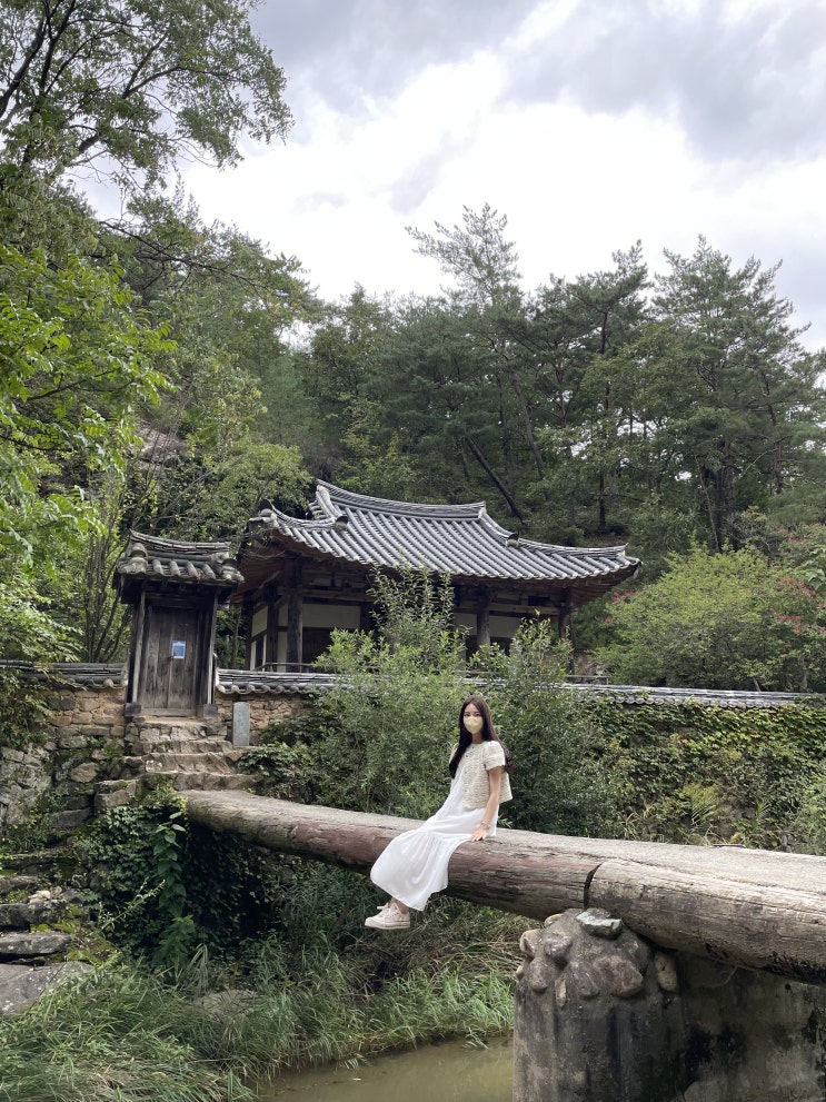  [안동여행] 낙강물길공원 이국적인 풍경/만휴정 미스터선샤인 촬영지
