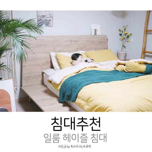 일룸 헤이즐 침대 포근한 침실 인테리어를 위한 내추럴 침대추천