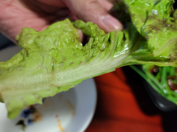 가장 별로였던 하남돼지집 풍산직영점 가장 별로였던 하남돼지집 풍산직영점