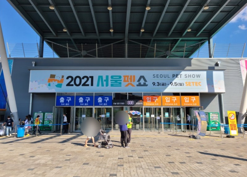 사진 7