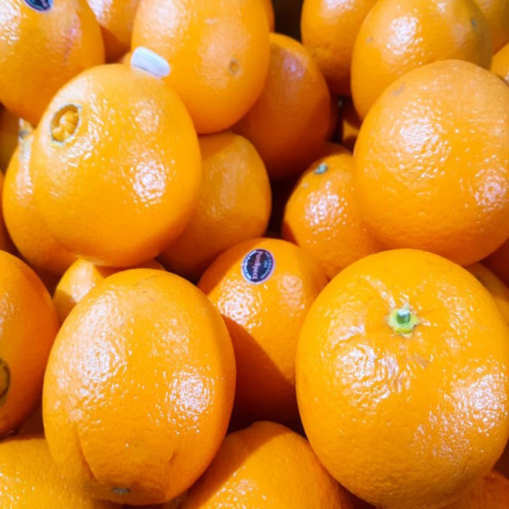 갓성비 좋은 퓨어스펙 고당도 오렌지 특품, 35개, 9kg 추천해요